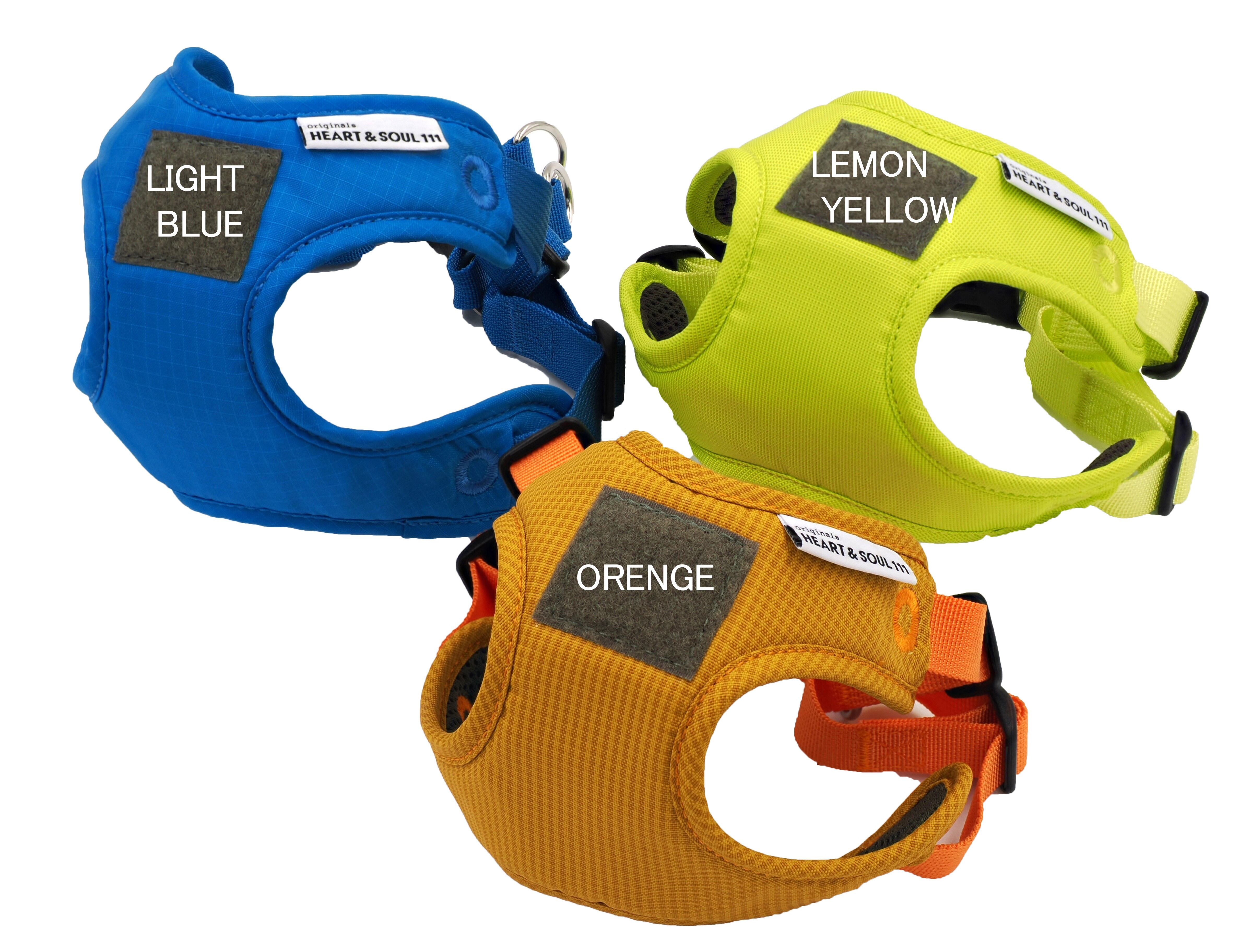 Harness | wildrose