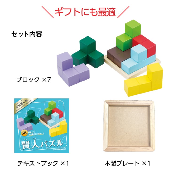 賢人パズル エドインター 立体パズル 脳力パズル 知育玩具 教育玩具