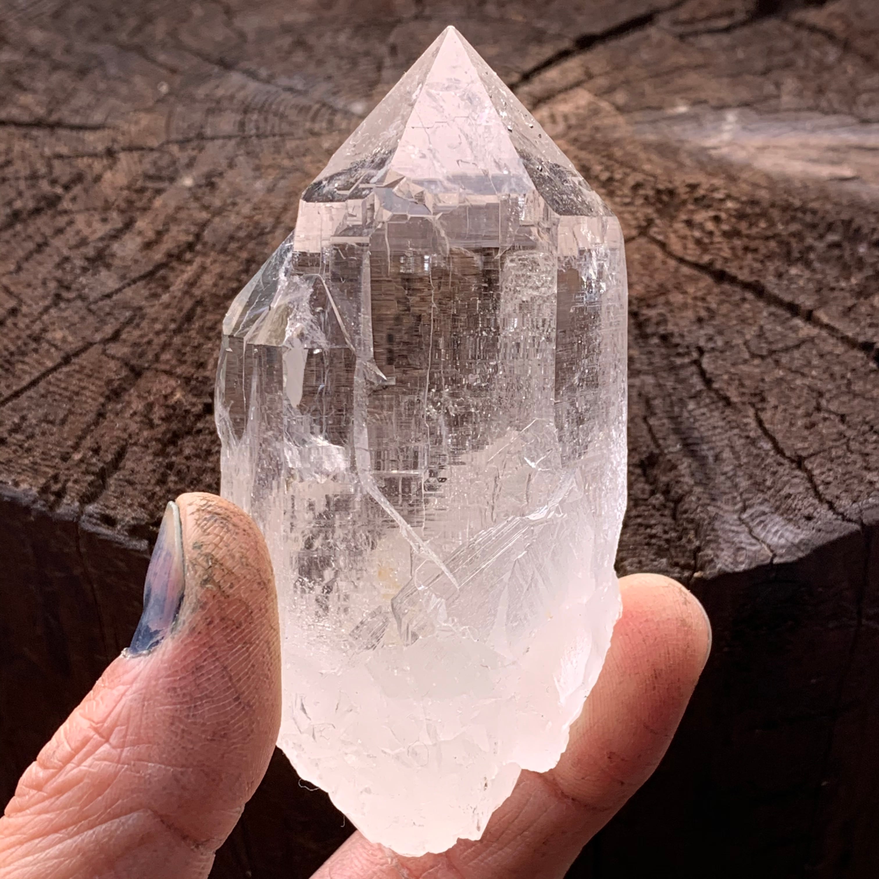 トライゴーニック レコードキーパー カテドラル マニハール産水晶(クル地区) ヒマラヤ水晶