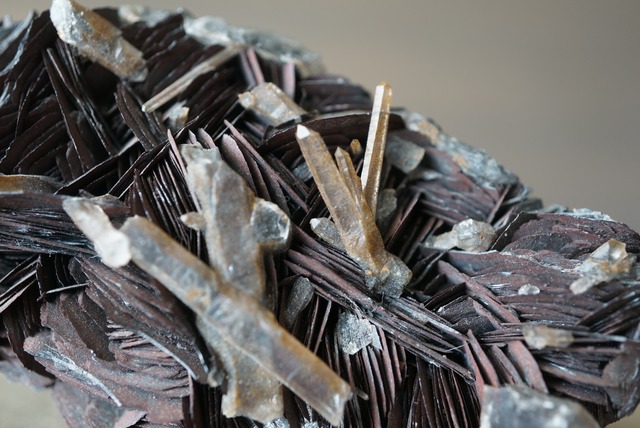 アイアンローズ/クォーツ Iron Rose/Quartz 1647