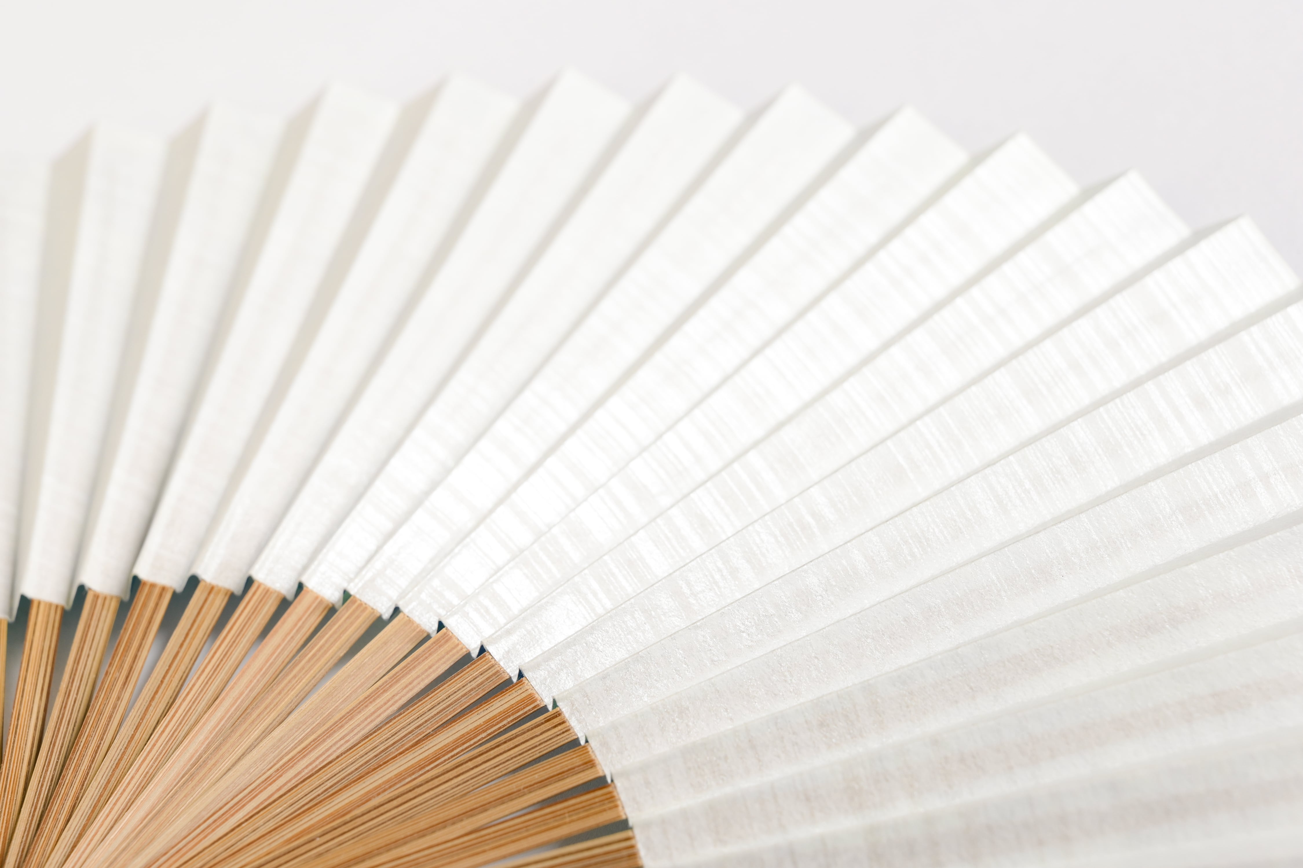 まるにねこ 黄緑 Large size | /fan/fun