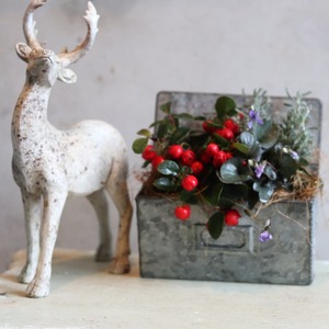 冬から春に楽しむ寄せ植え　チェッカーベリーハングポット　届いてすぐ玄関に飾れる 　プレゼントにもオススメ　