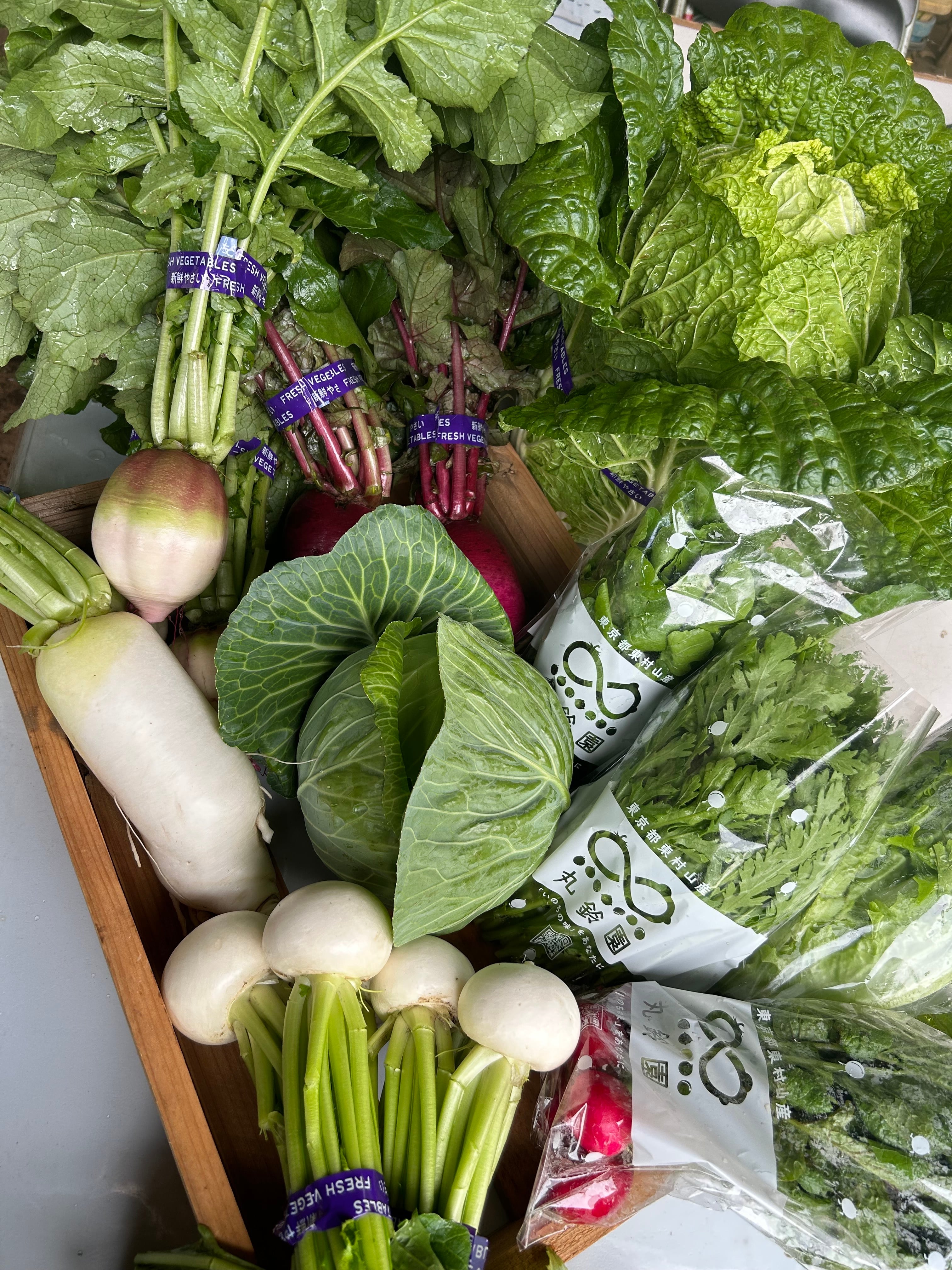 ★ヤマト便★丸鈴園お任せセット2024