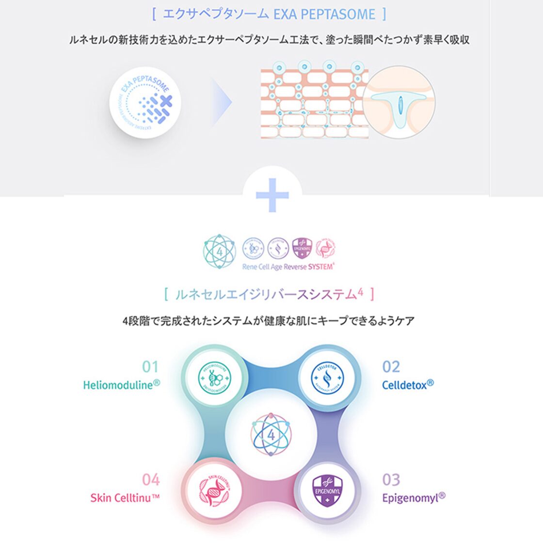ミラクルダイヤモンドピール プログラムセット│シワ・たるみ・毛穴の 