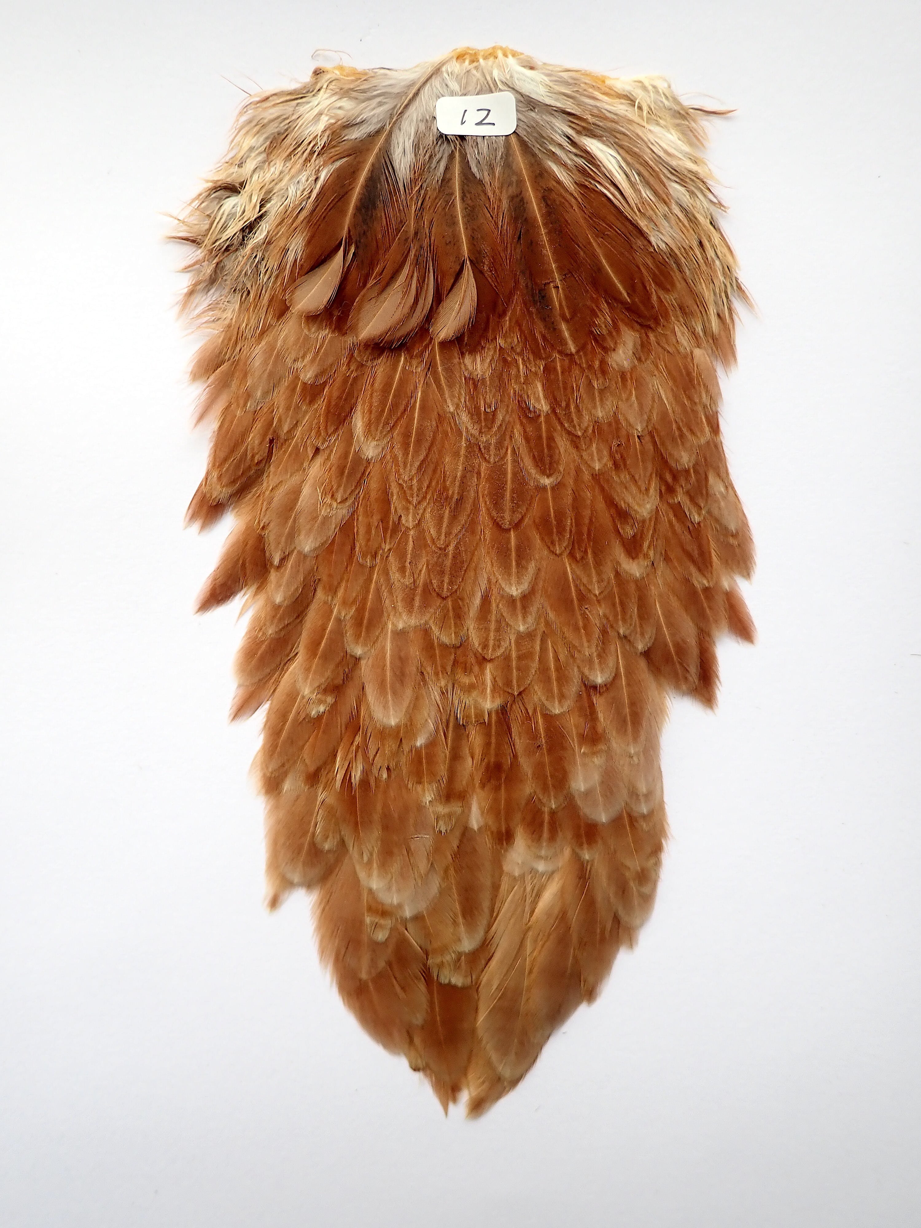 HEN SADDLE HACKLE | Anglefield Fly Supplies