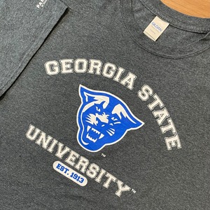 【GILDAN】カレッジ ジョージア州立大学 GEORGIA STATE UNIVERSITY Tシャツ アーチロゴ 2XL ビッグサイズ US古着