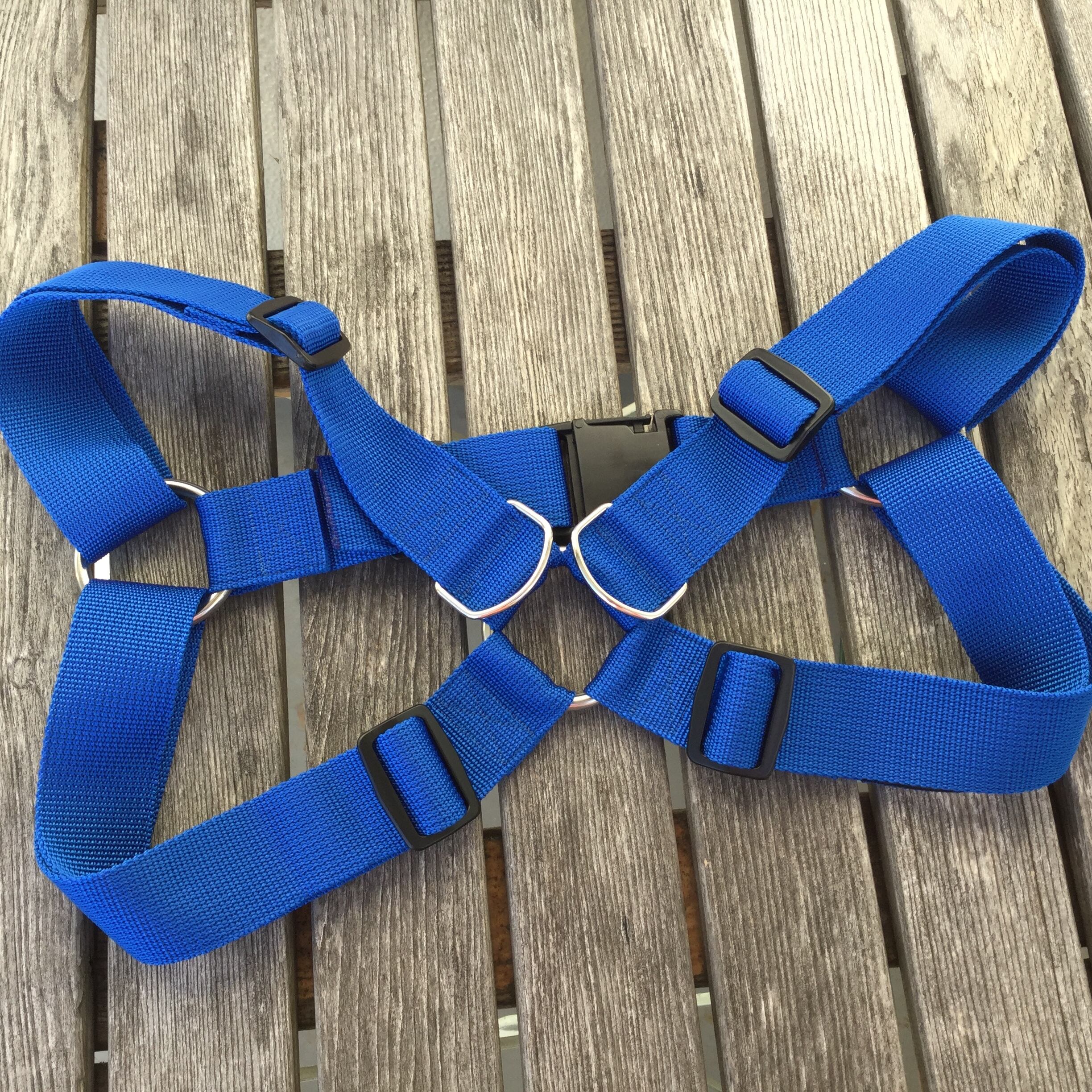 胸ハーネス 青 40mm幅