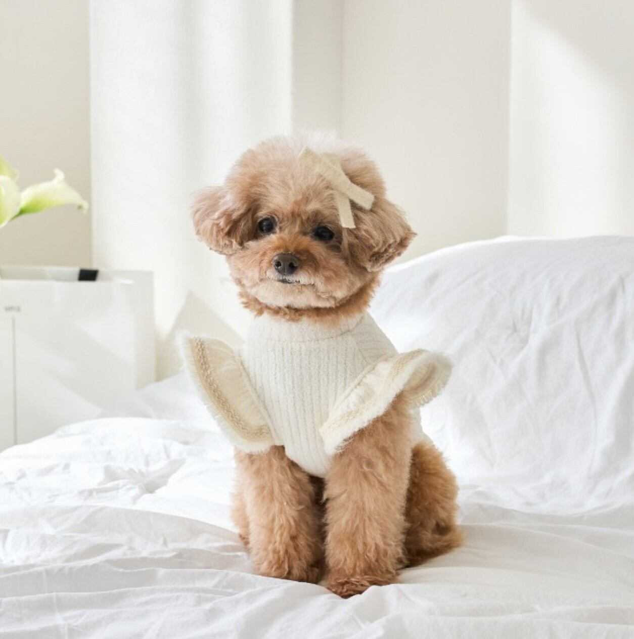 M/即納【eomuk】Pure Frill Tshirt《Ivory》