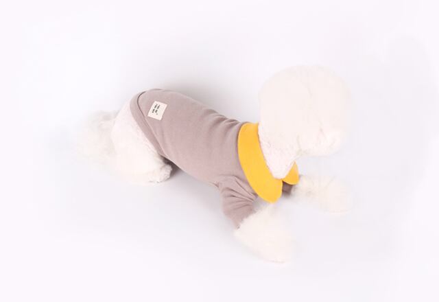 【SALE】creamy kara t-shirt S ~ XL / 犬服 春夏 新作 可愛い 犬の服 トップス 長袖 ドッグウェア ストレッチ 小型犬 中型犬 ペット top106