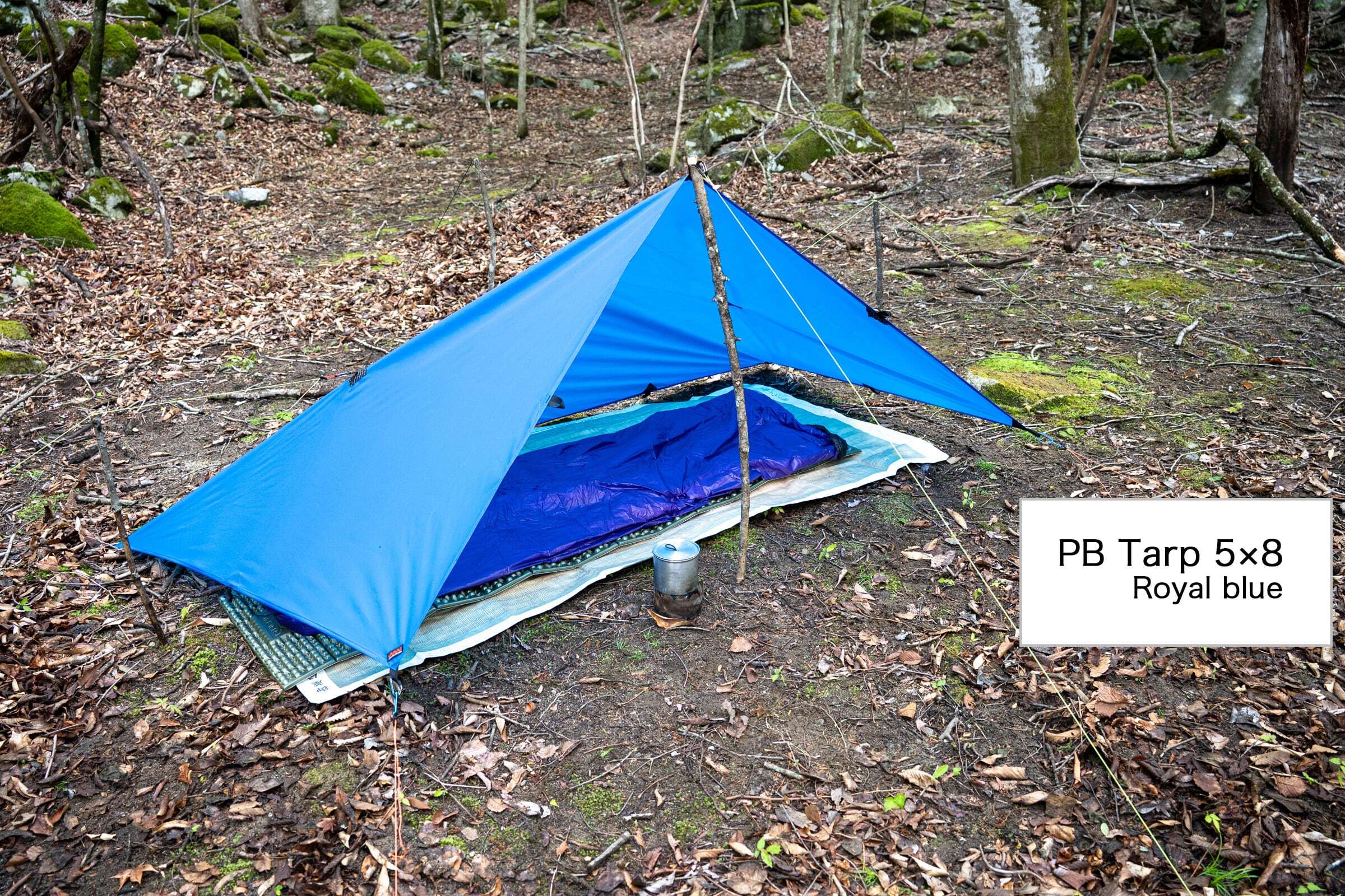 PB Tarp 10×10 