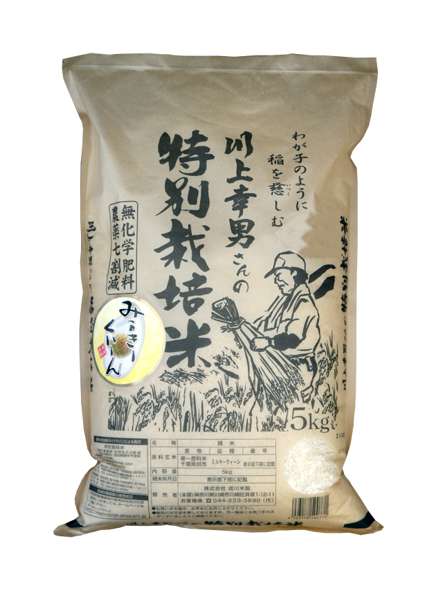 令和5年産】千葉川上さんのミルキークイーン（白米／玄米5㎏）　成川米穀店