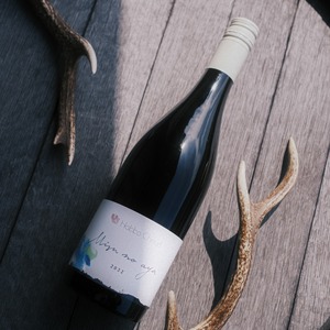 水の綾　2022 / Mizu no Aya