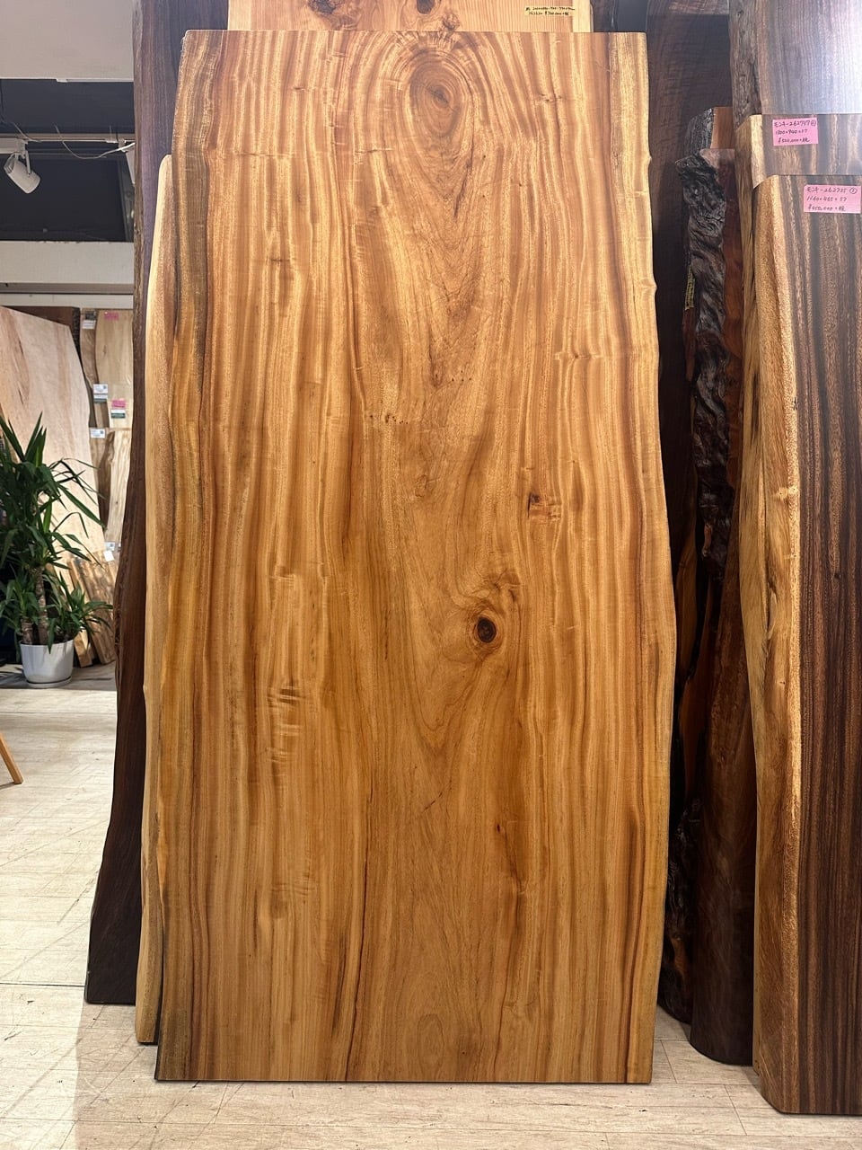 楠（クス） 一枚板 | 千年家具 - 一枚板 テーブル専門店