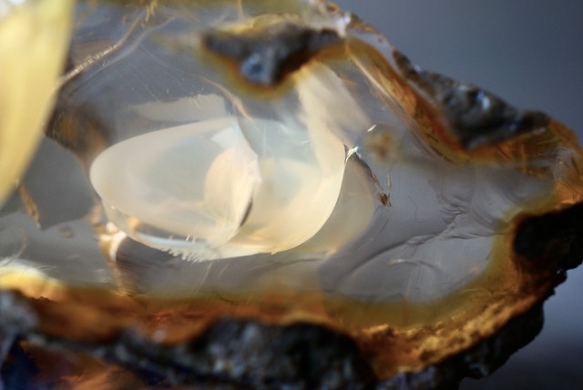 エッグ・イン・オパール Opal Egg 827