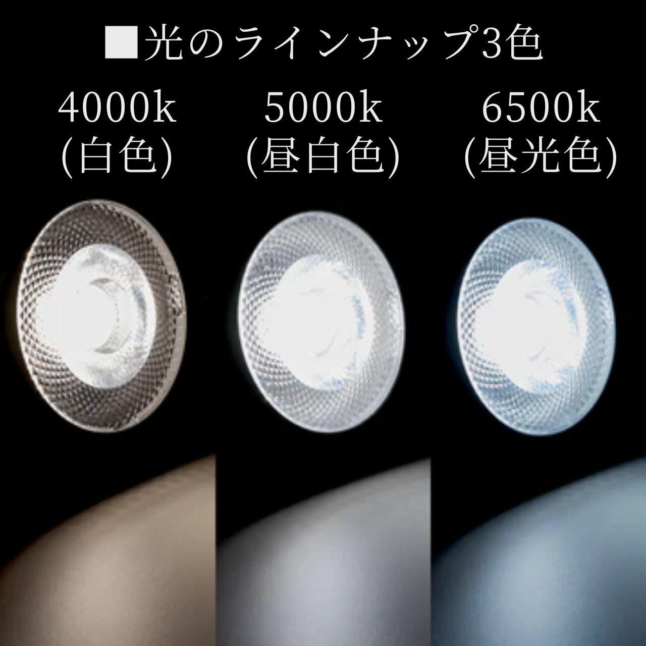 京セラ CERAPHIC いきもの電球 4000K(白色) 狭角｜太陽光を再現した高