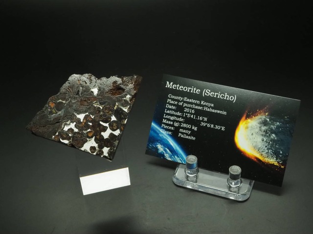パラサイト隕石【Sericho】【60 g】ケニア共和国産/セリコ/石鉄隕石