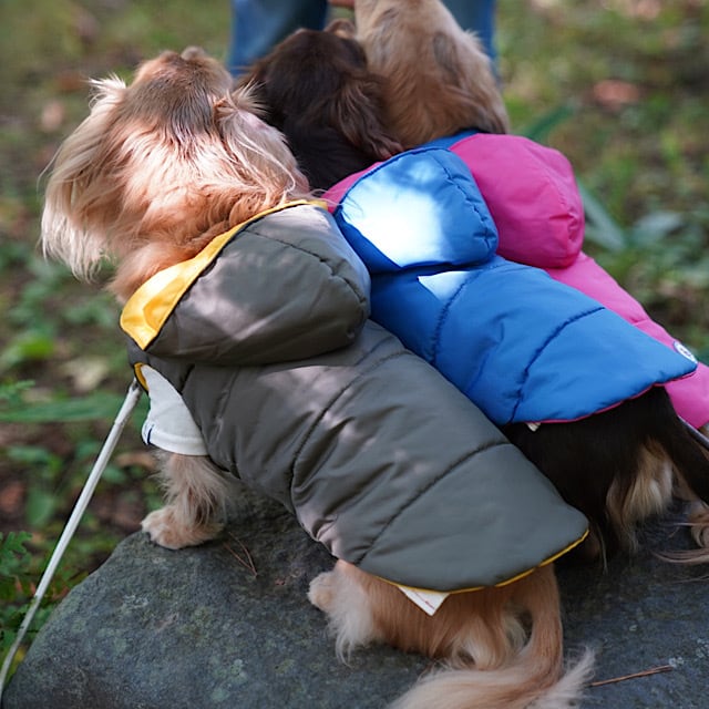 ダウンジャケット(フード) | カニンヘンダックスとミニチュアダックス