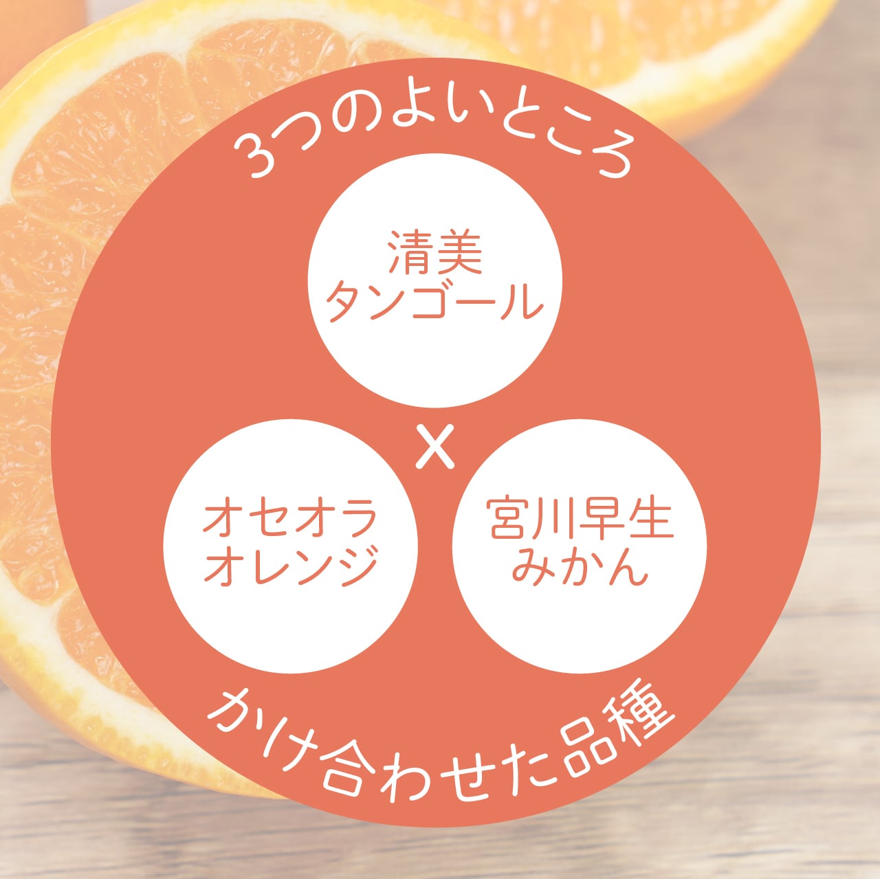 注目の希少品種！】はれひめみかん 5kg 秀品 | 道の駅 くしがきの里