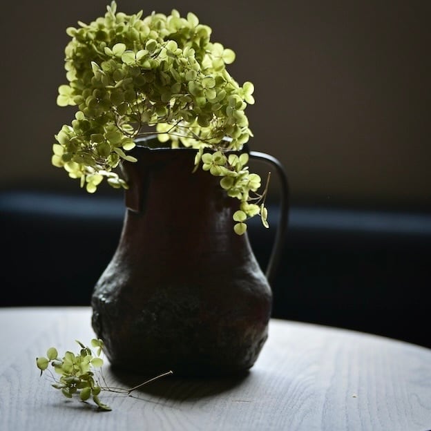 茶系 / brown | 古道具・器 ハナレ きりゅう 茶系 / brown | 古道具・器 ハナレ きりゅう
