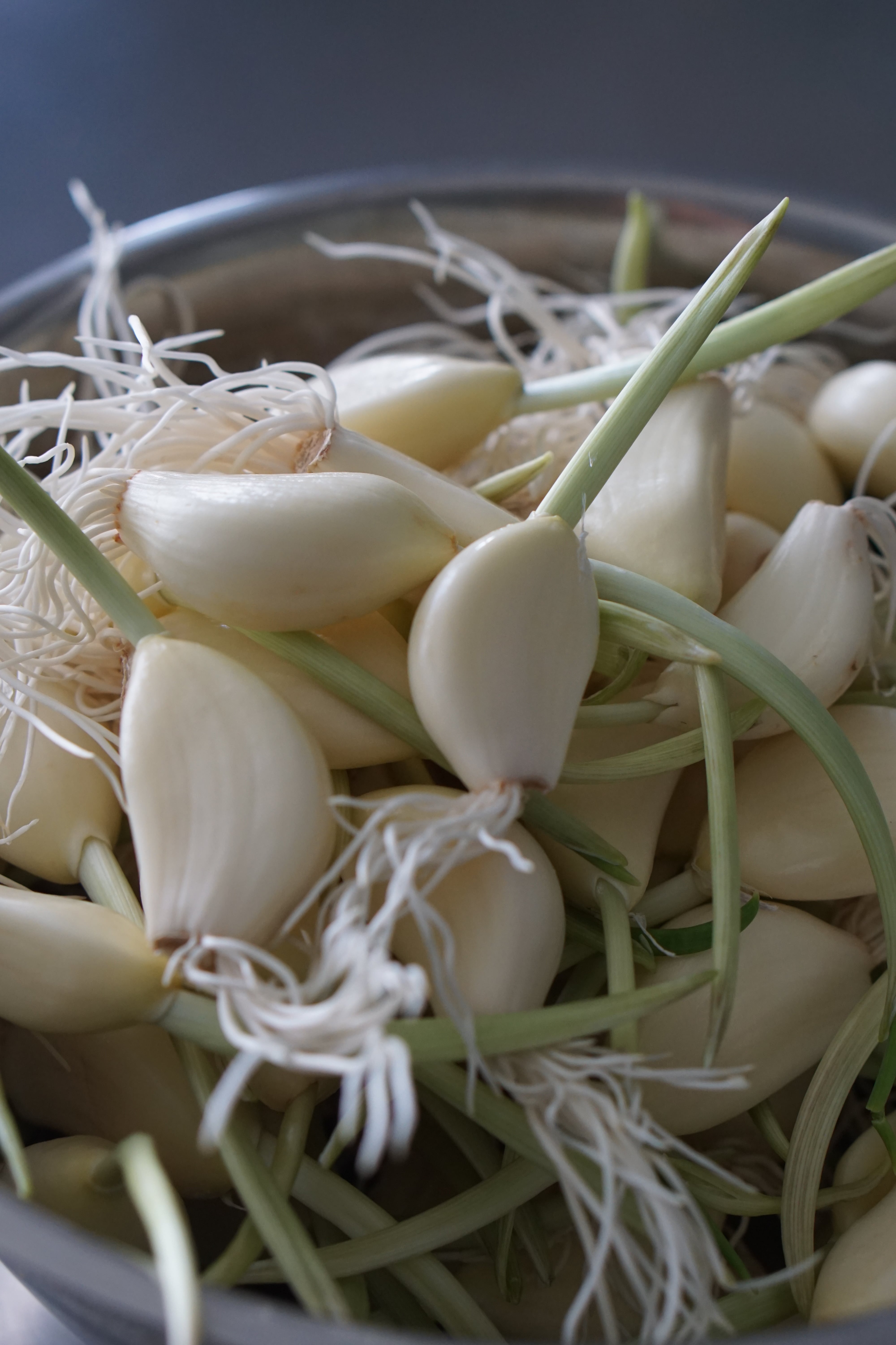 お酒好きにおすすめ！「ほろ酔いセット」 | 道後ピクルス