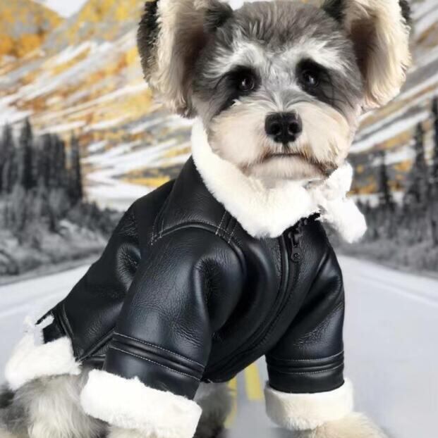 《予約》№1102676 フェイクレザーコート