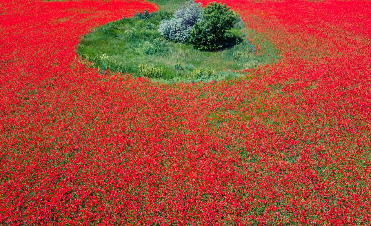 タペストリーテーブルクロス 137х137cm ウクライナ製 - 9