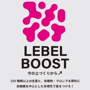 レベルブースト （LEBEL BOOST）15㎏×10袋【送料無料】