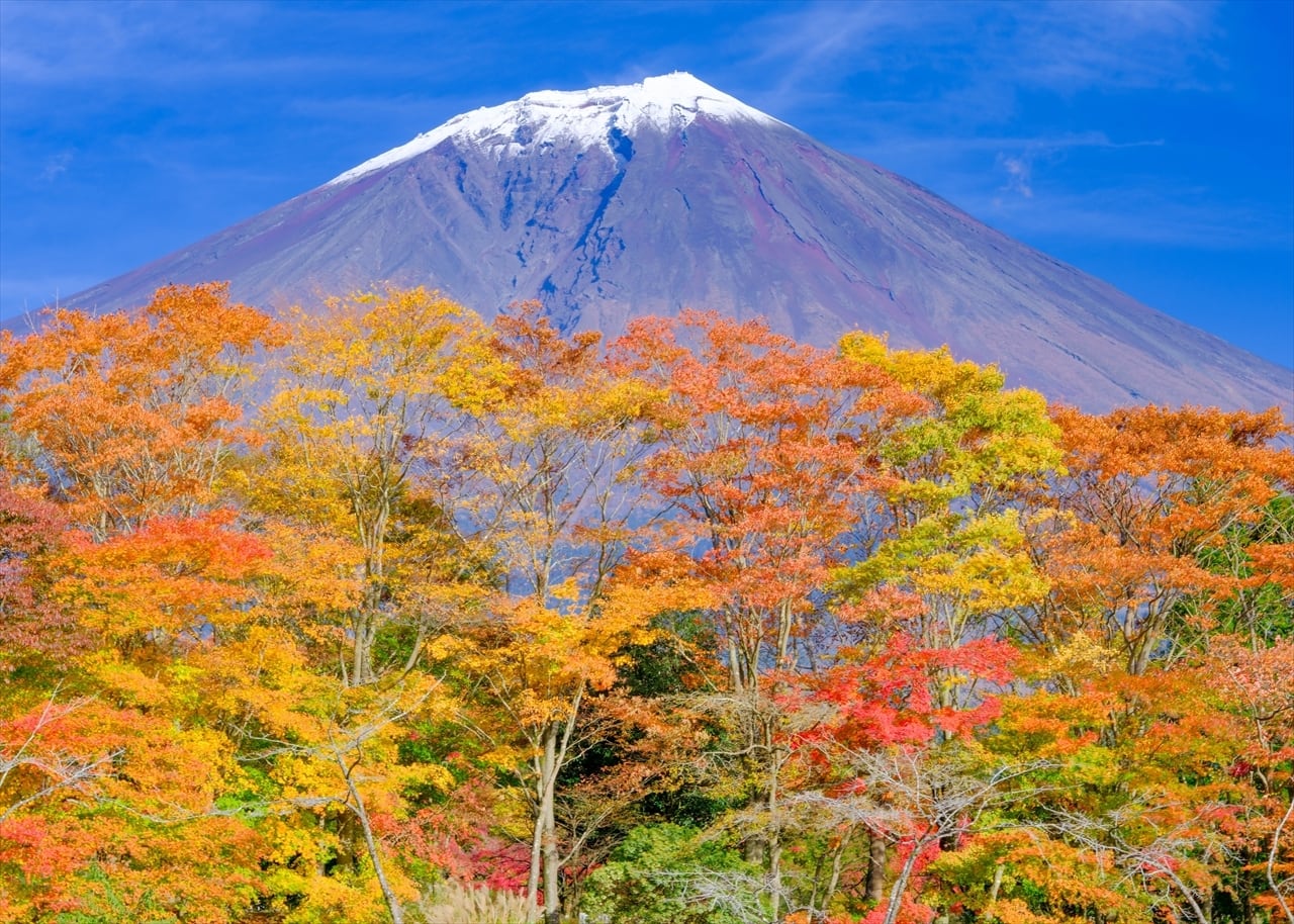 2026年 富士山カレンダー | Fujiyama 3776
