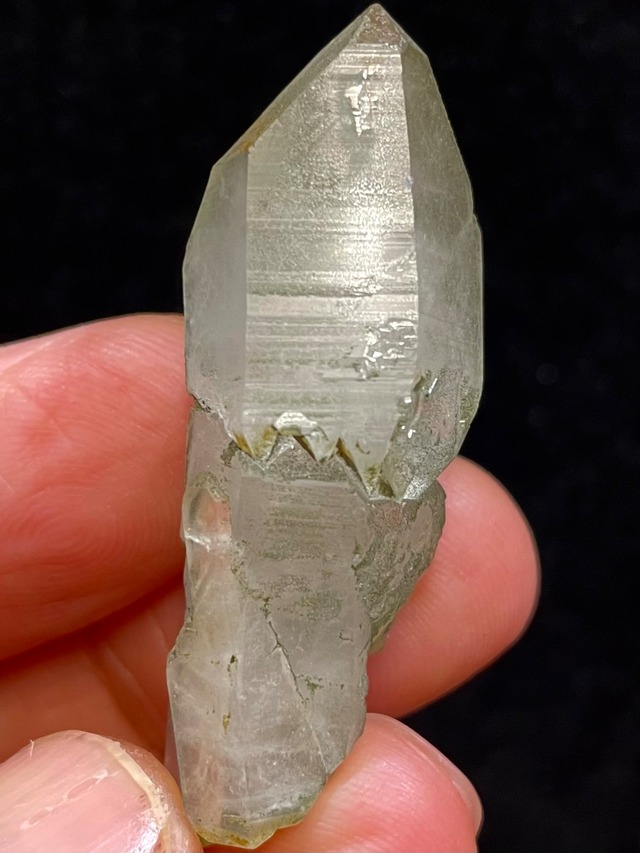 7) 復活再生！北欧の精霊「テレマルク・スピリット」C1(セルフヒールド)