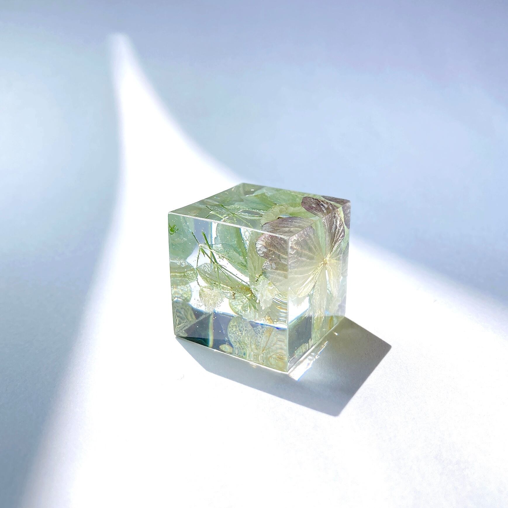 flower cube 【hydrangea】S
