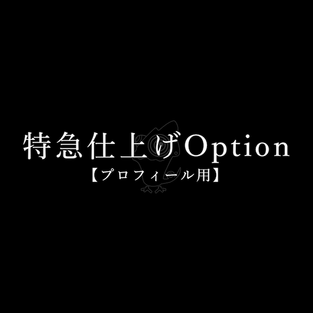 【プロフィール用】特急仕上げOption　※ご注文前にContactからメッセージをお願いいたします