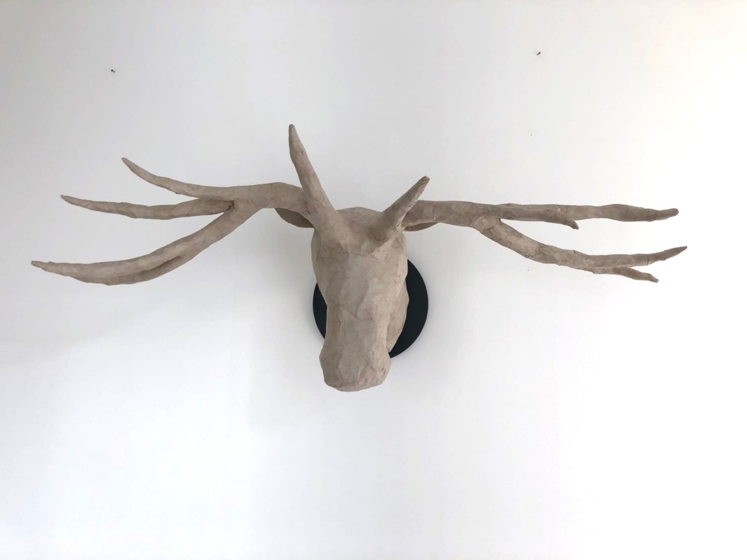 C20-002DN ダンボールシカ 木台ネイビー | CORNUS