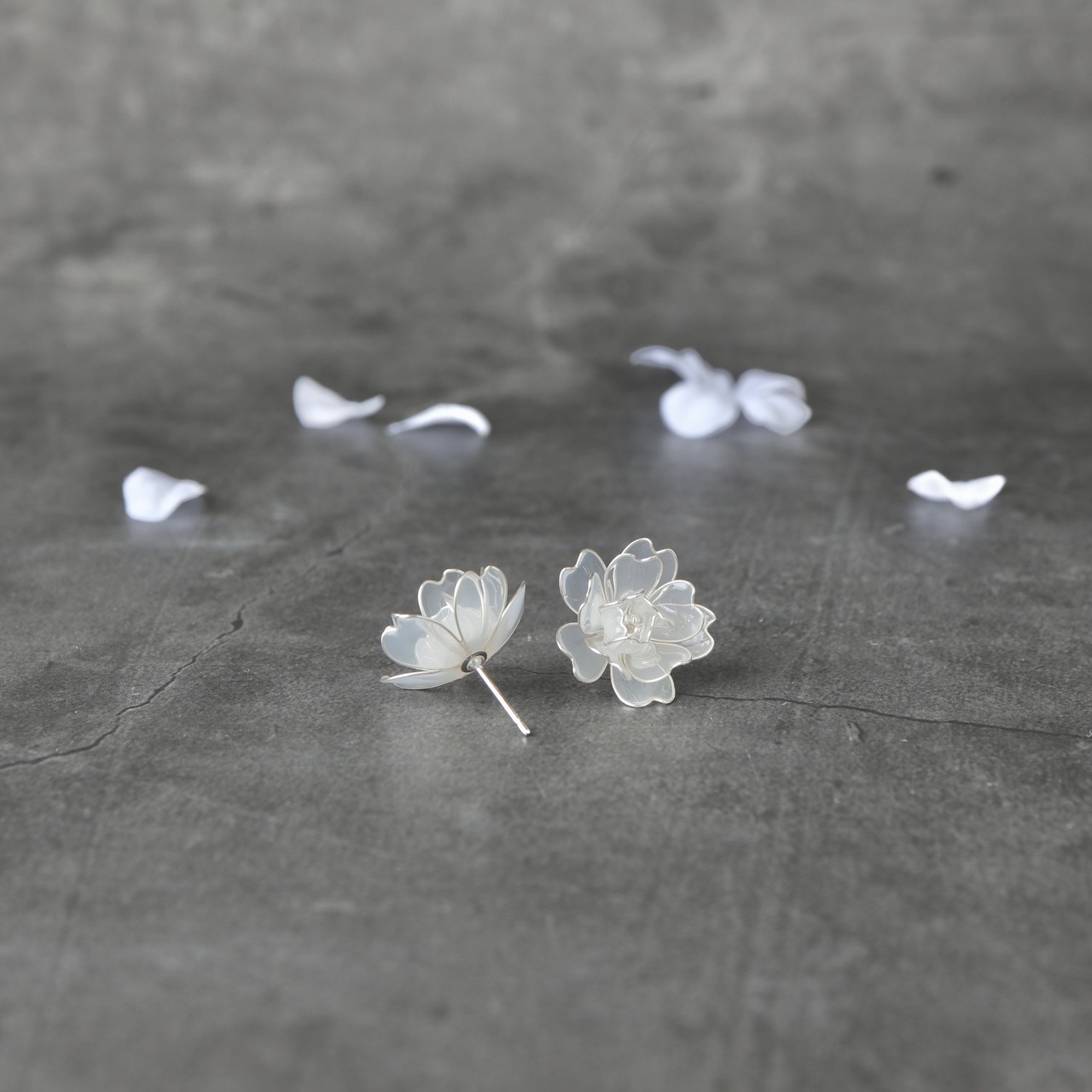 八重桜 －Gold＆Silver－