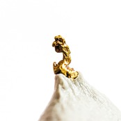 【873】自然金　アメリカ産　0.02ct