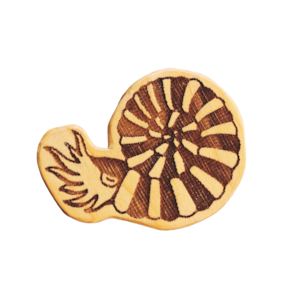 アンモナイト 木製ブローチ〈樹種：イチイ〉