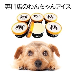 犬用アイス おやつ スイーツ 専門店のわんちゃんアイス4個入