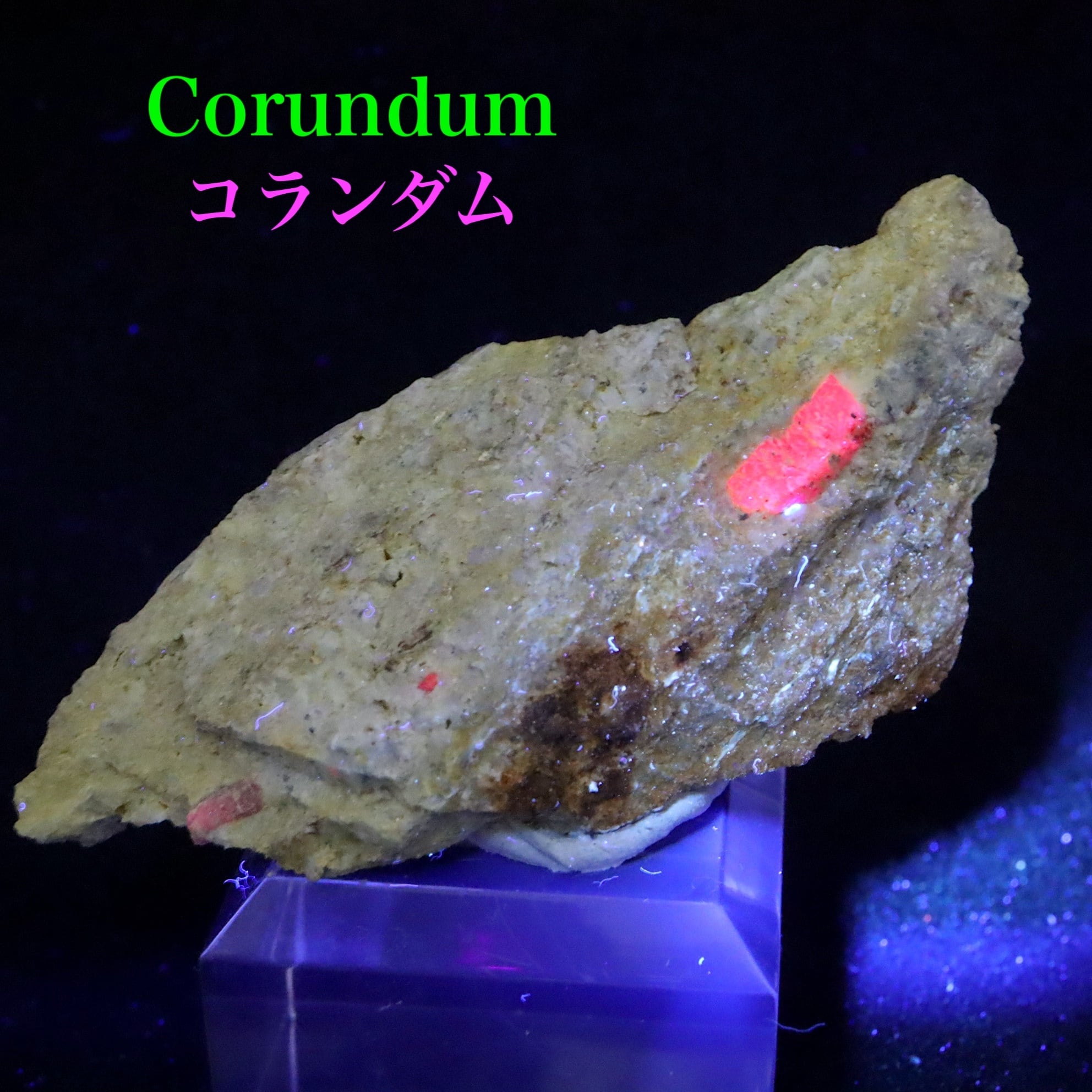 巨大】ルビー コランダム 原石 結晶 172Ct ソーティング付き 鉱物標本