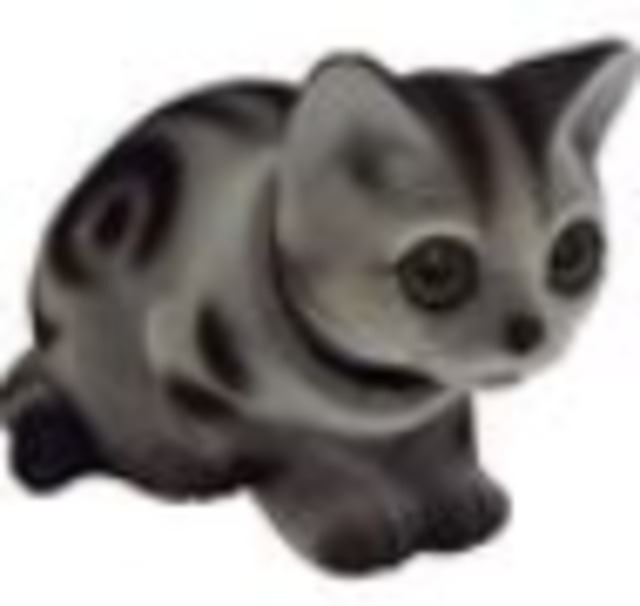 ニャンだーコロン（アメリカンショートヘア）