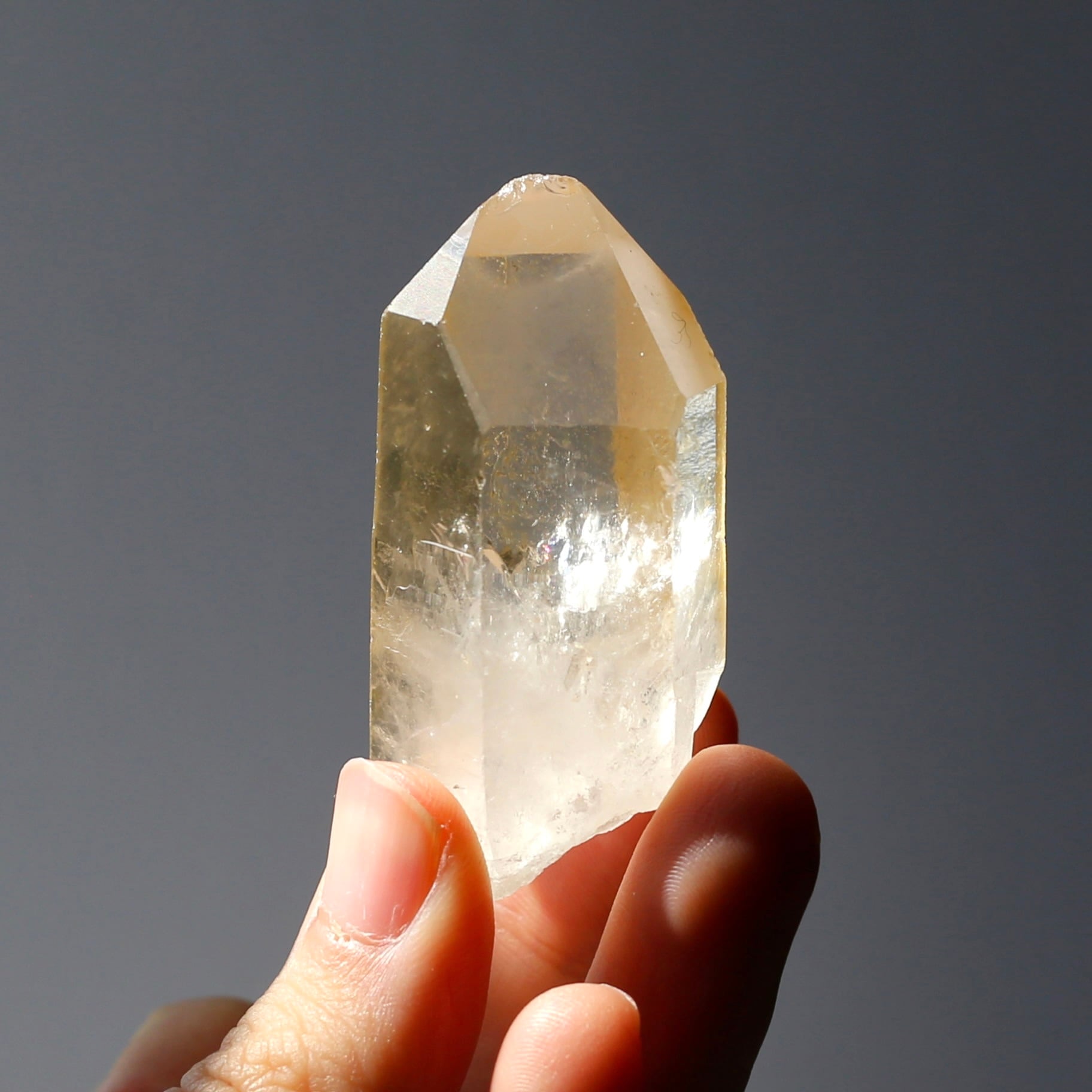 希少！貫入水晶 ゴールデンヒーラー クォーツ 原石 水晶 鉱物 希少石 天然石 希少！貫入水晶 ゴールデンヒーラー クォーツ 原石 水晶 鉱物 希少石