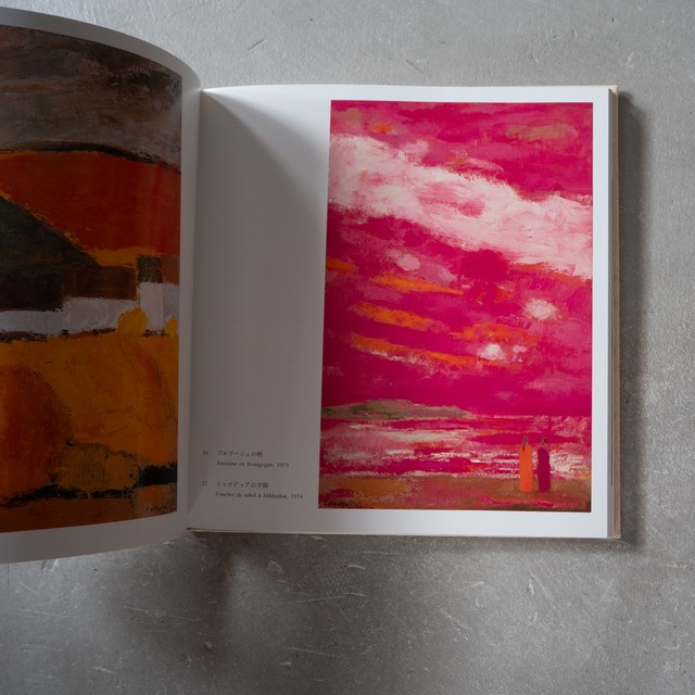 "Bernard Cathelin" used Art book