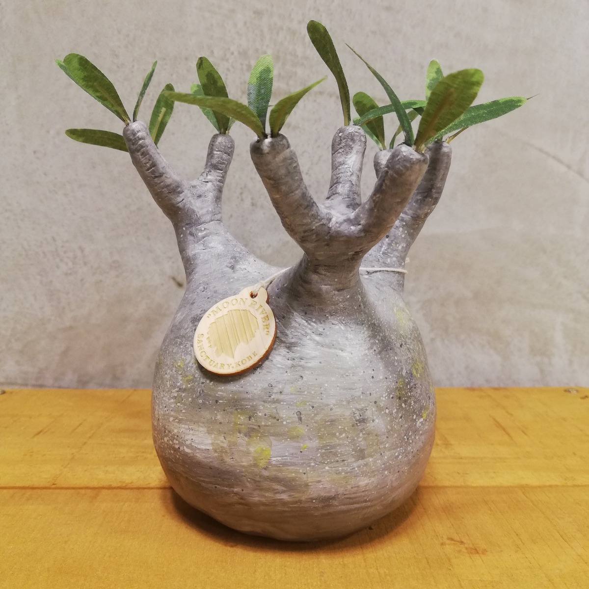 フィギュア】パキポディウム・グラキリス Lサイズ | Moon-River-Sanctuary