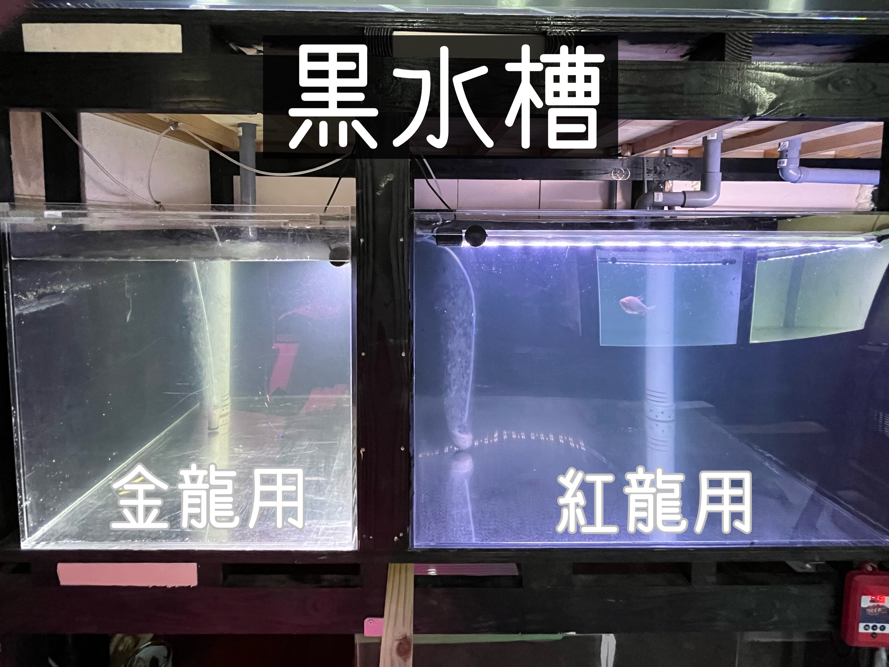 展示品未使用ポスト ステンレス パーセルレターボックス 【公式通販】