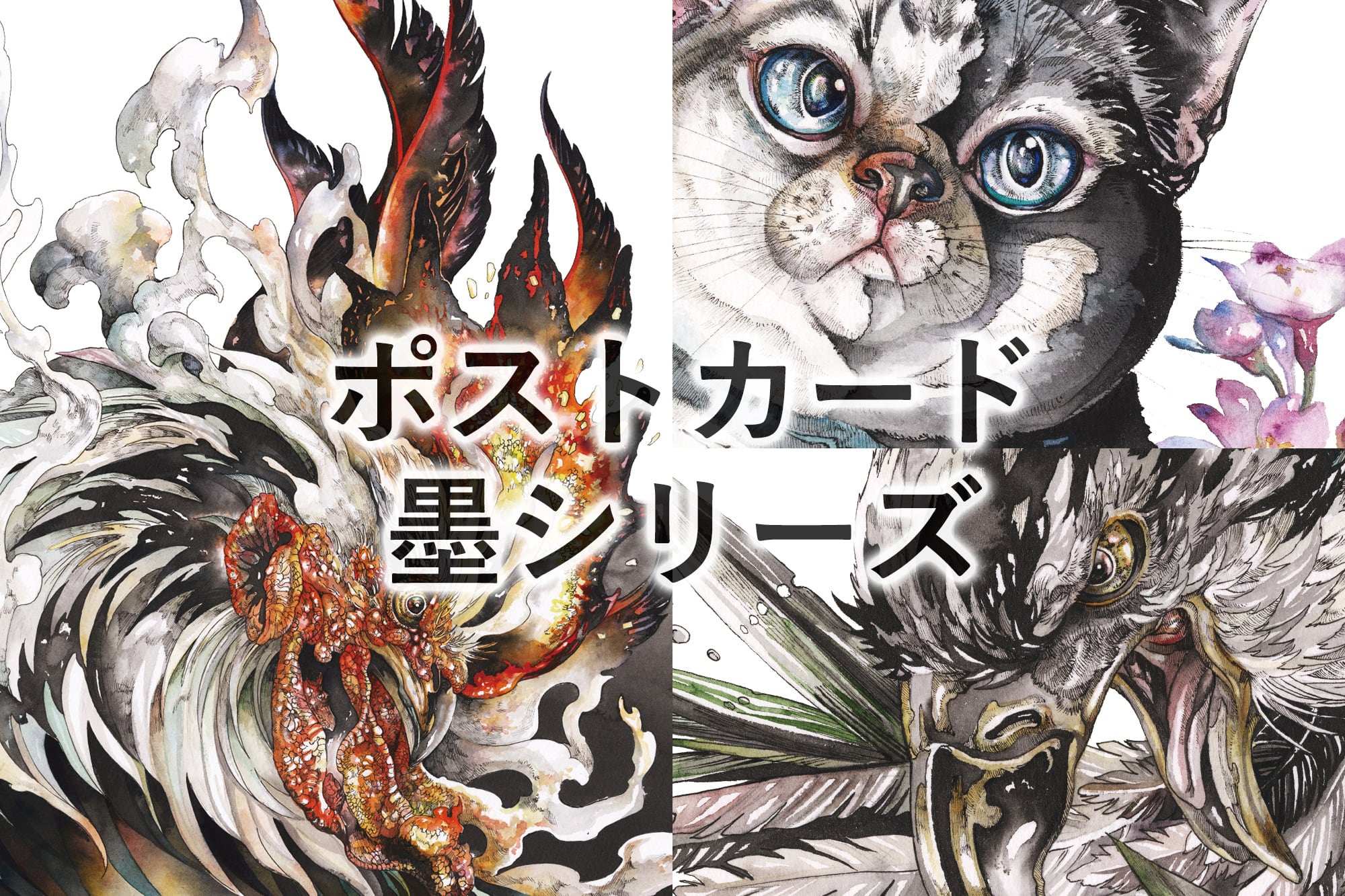 KEN MATSUDA ONLINE STORE