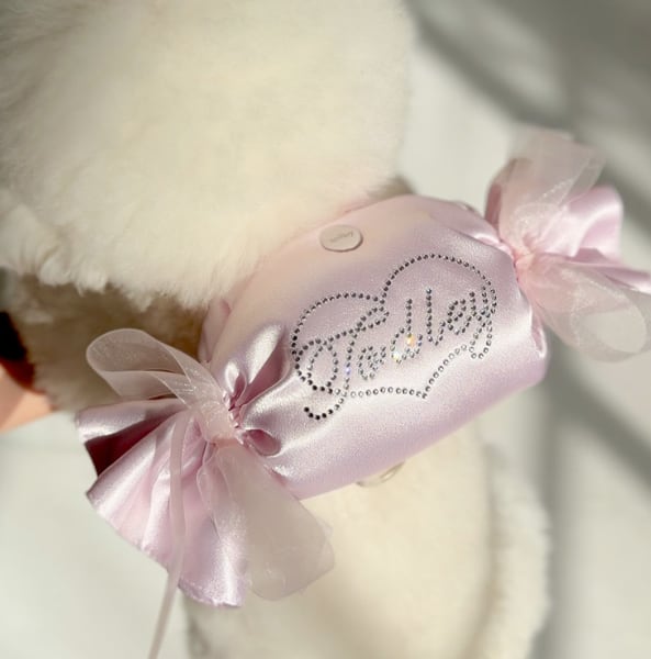 予約【todley】Dear Love Candy Bag