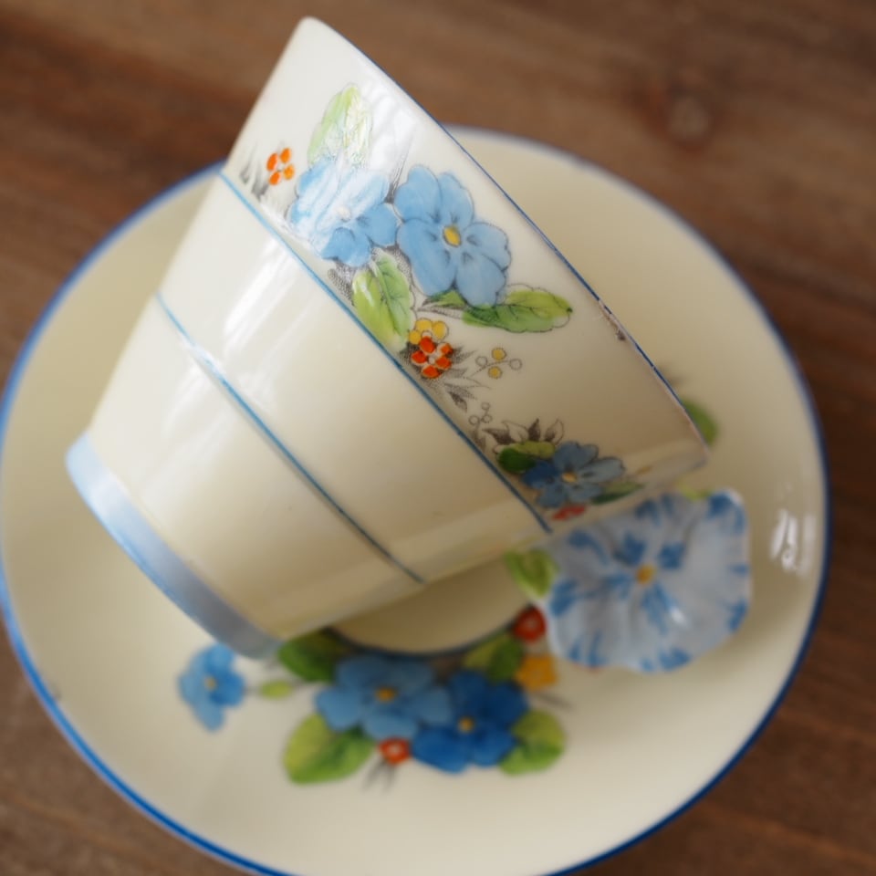 訳あり【英国Paragon】パラゴン プリムローズボーダー フラワー