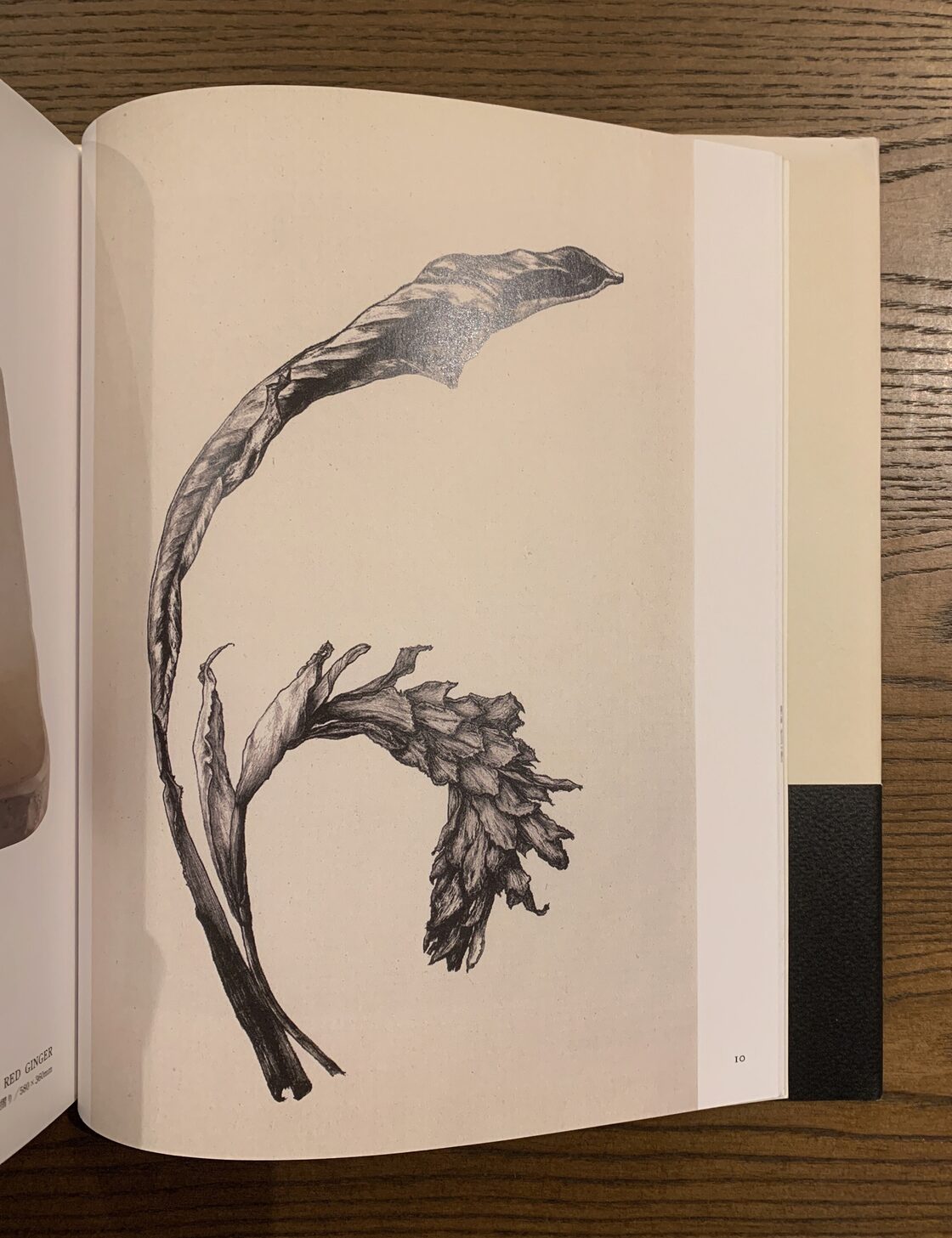 天の花 地の花 五木玲子画集 | Pay ID