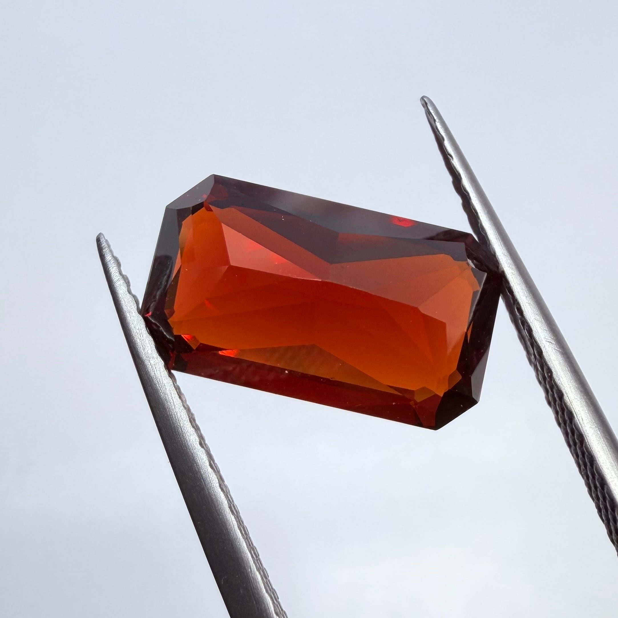 サラブレッドのような重厚感のあるスペサルティンガーネット