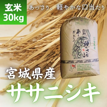 精米】ピキハイ米（群馬県産あさひの夢 R7米）2Kg | PAY ID