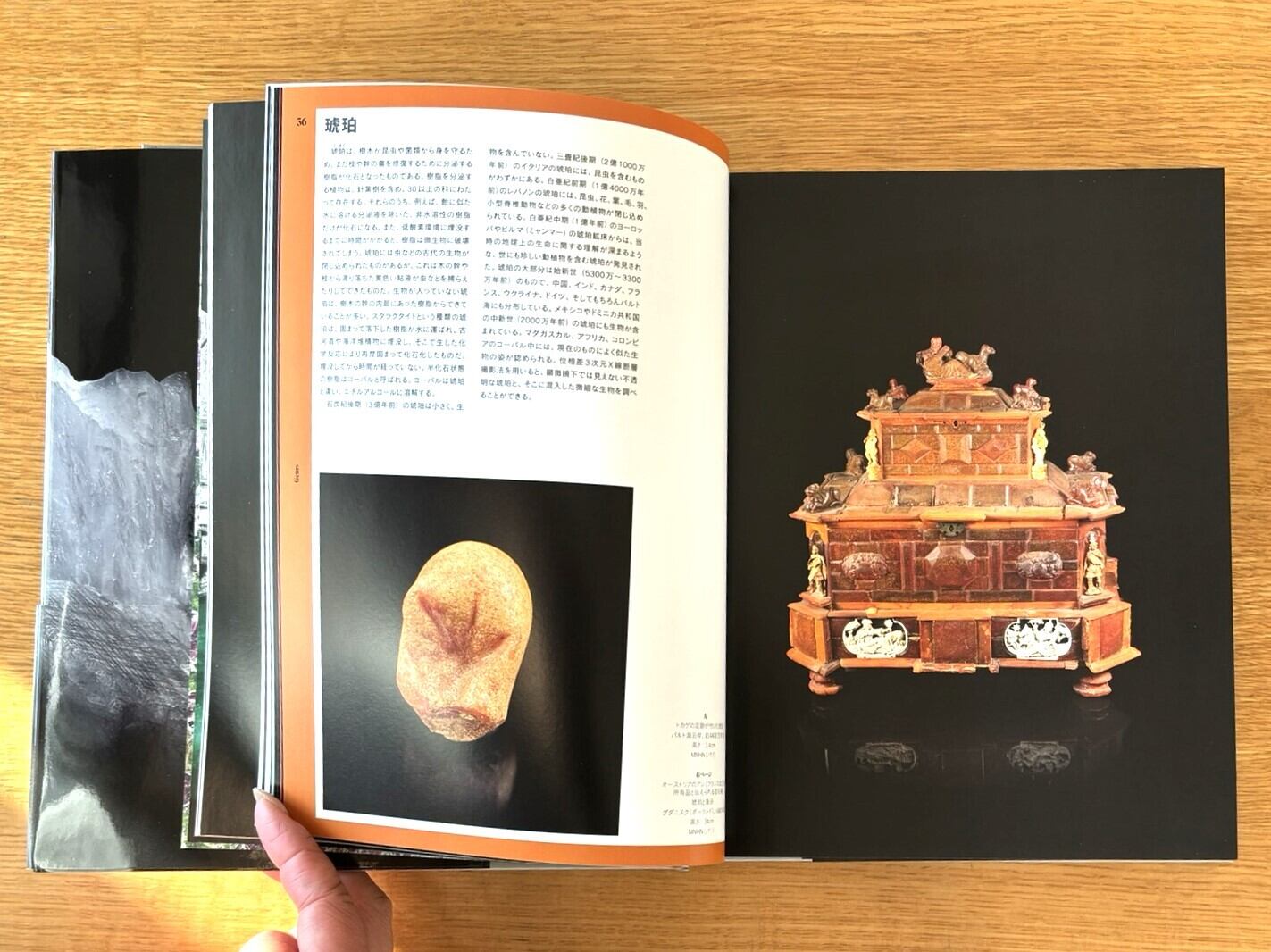 GEMS 美しき宝石と鉱物の世界 | かざりすの森