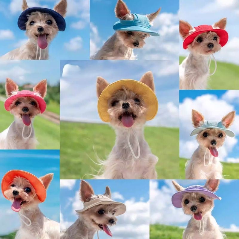 【海外ハンドメイド】ペット用カラーハット 01063